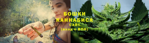марки lsd Бородино