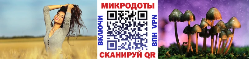 Псилоцибиновые грибы мицелий Дигора
